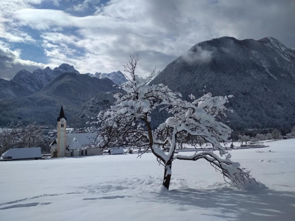 The Green House Mojstrana Luaran gambar