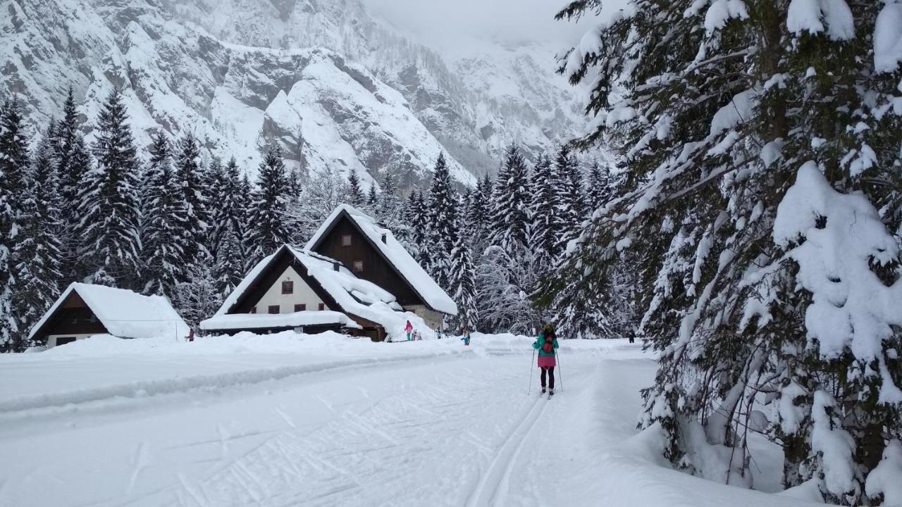 The Green House Mojstrana Luaran gambar